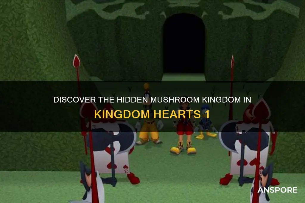 where to find the last mushroom kingdom hearts 1