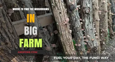 Discover Hidden Mushroom Locations in Big Farm: Expert Tips & Tricks