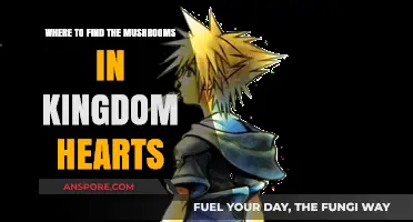Discovering Mushroom Locations in Kingdom Hearts: A Comprehensive Guide