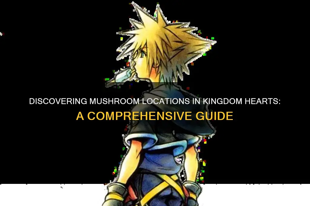where to find the mushrooms in kingdom hearts