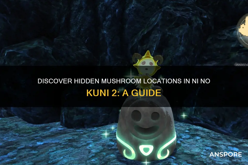 where to find the mushrooms in ni no kuni 2