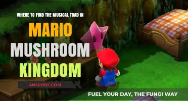 Discover the Musical Toad's Secret Hideout in Mario's Mushroom Kingdom