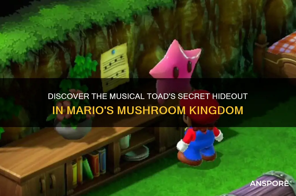 where to find the musical toad in mario mushroom kingdom