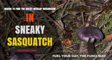Discover Violet Webcap Mushroom Locations in Sneaky Sasquatch