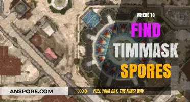 Discovering Timmask Spores: Top Locations for Rare Fungal Finds