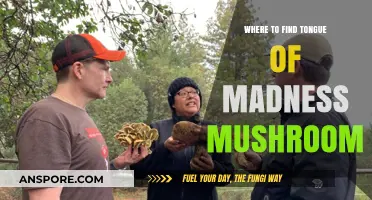 Discovering the Tongue of Madness Mushroom: Top Locations and Tips
