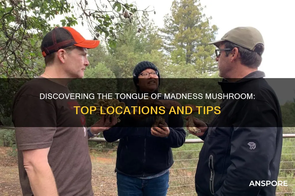 where to find tongue of madness mushroom