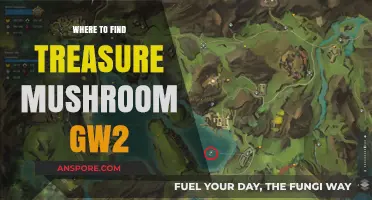 Discover Hidden Treasure Mushroom Locations in Guild Wars 2