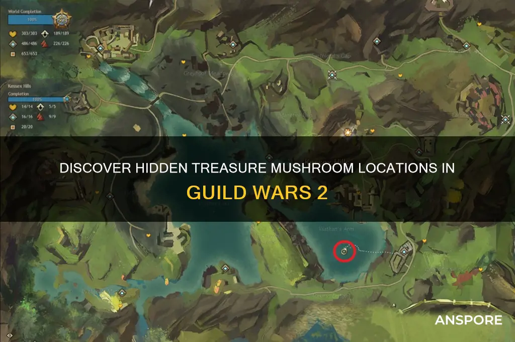where to find treasure mushroom gw2