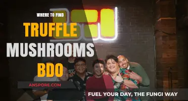 Discovering BDO's Hidden Truffle Mushroom Spots: A Comprehensive Guide