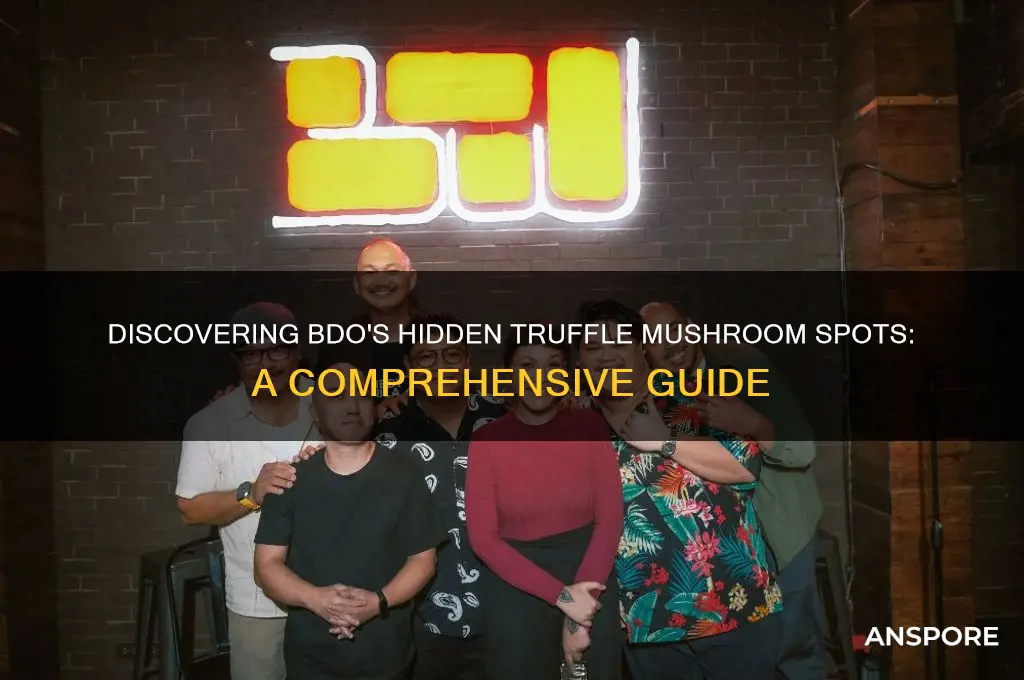 where to find truffle mushrooms bdo