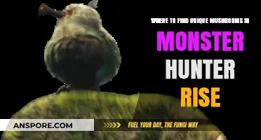 Discover Rare Monster Hunter Rise Mushrooms: Top Locations Guide