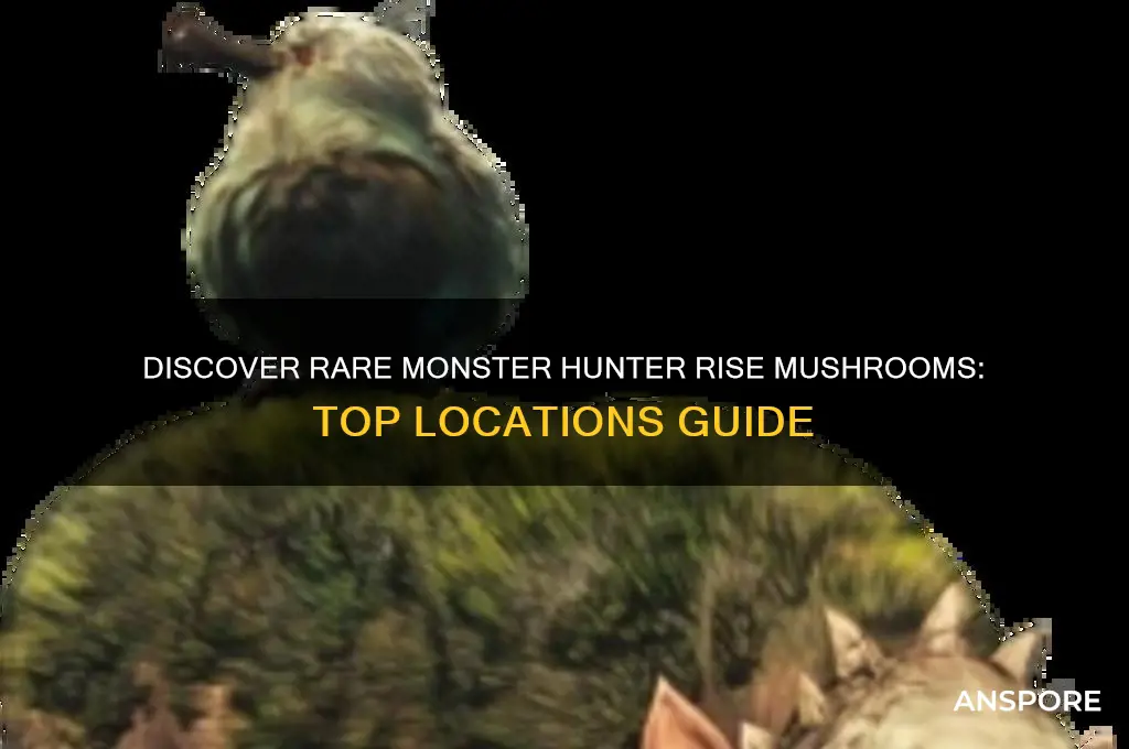where to find unique mushrooms in monster hunter rise