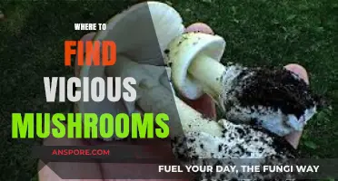 Deadly Fungi: Locating the World's Most Vicious Mushroom Species