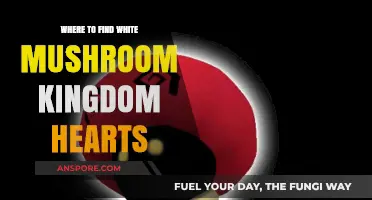 Discovering the White Mushroom Kingdom Hearts: Top Locations to Explore