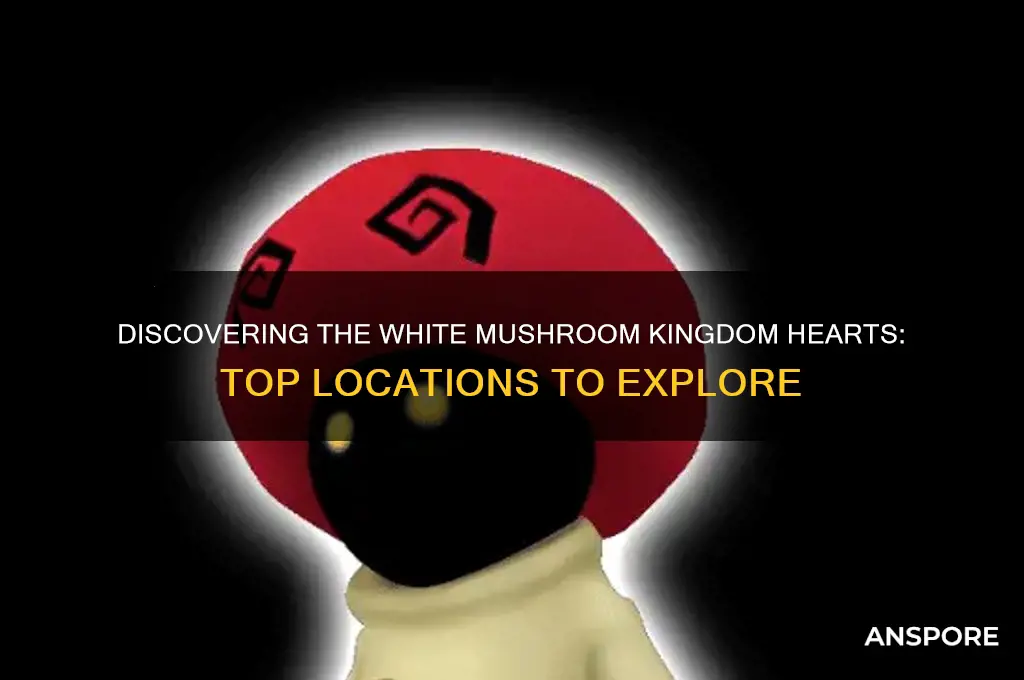 where to find white mushroom kingdom hearts