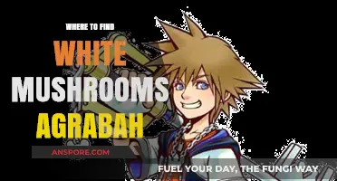 Discovering White Mushrooms in Agrabah: Top Spots to Explore