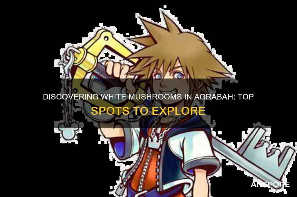 where to find white mushrooms agrabah