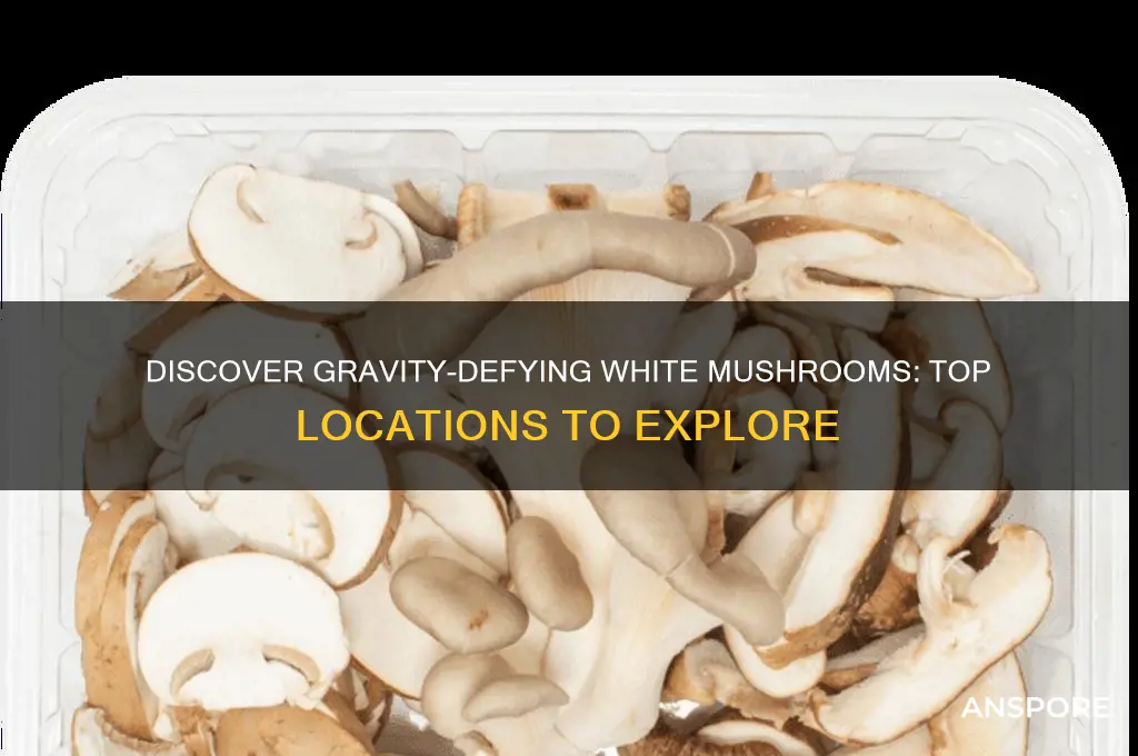 where to find white mushrooms that stop and gravity