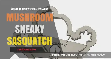 Discover Witches Cauldron Mushroom Locations in Sneaky Sasquatch Guide