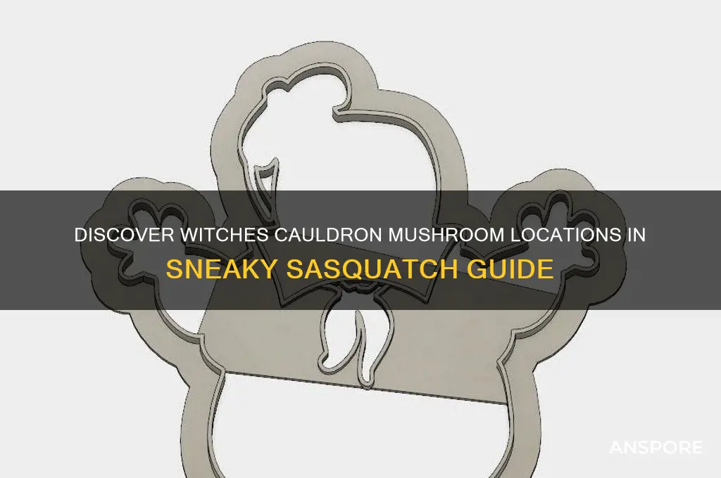 where to find witches cauldron mushroom sneaky sasquatch