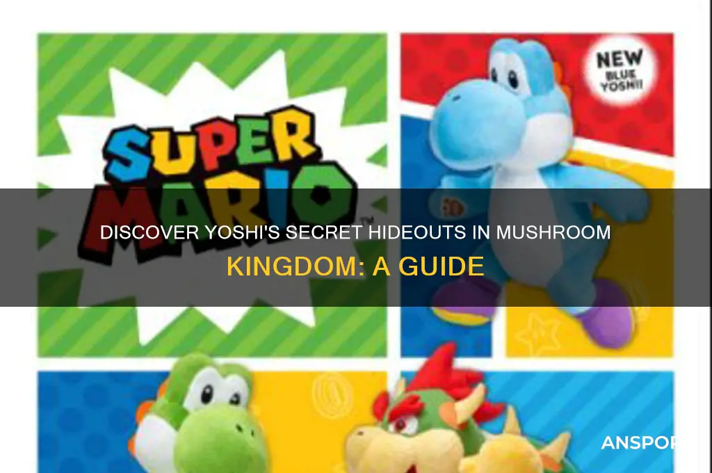 where to find yoshi in mushroom kingdom