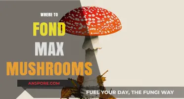 Best Places to Find Max Mushrooms