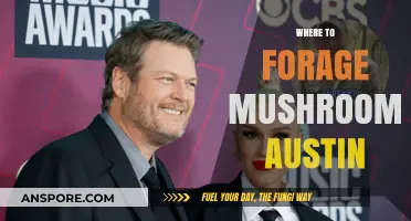 Mushroom Foraging in Austin: Best Spots to Find Fungi