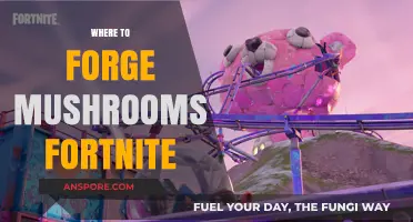 Fortnite: Best Places to Forge Mushrooms