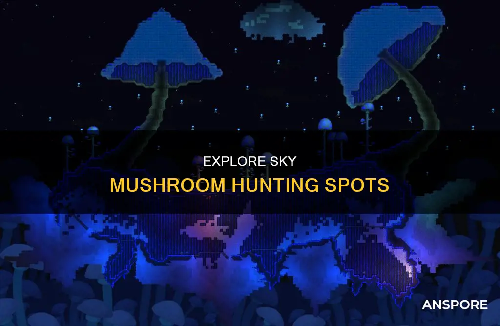 where to gather sky mushrooms