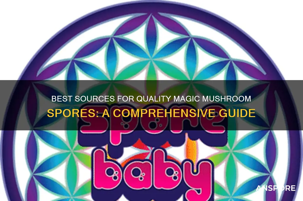 where to get good magic mushroom spores