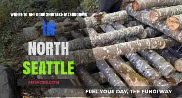 Discover North Seattle's Best Spots for Fresh Shiitake Mushrooms