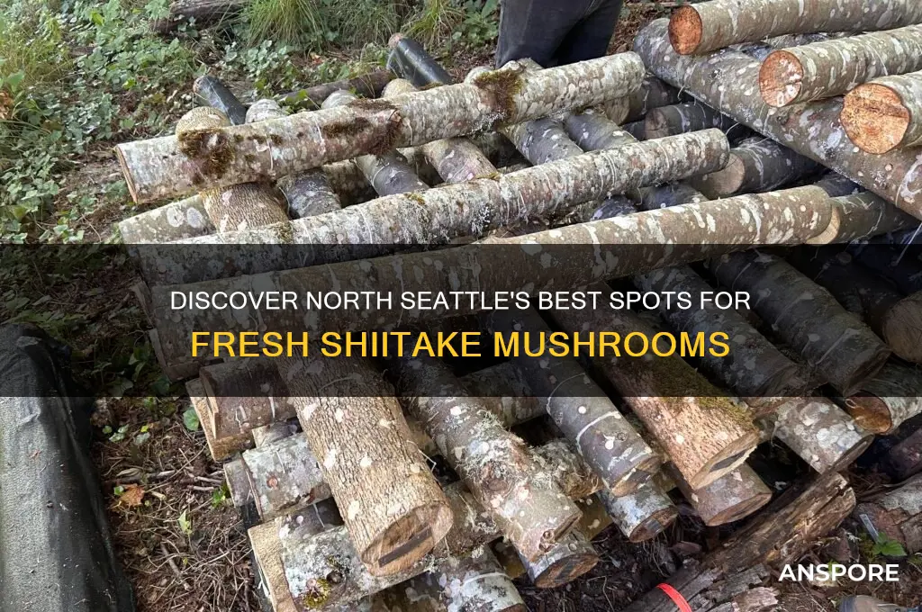 where to get good shiktake mushrooms in north seattle