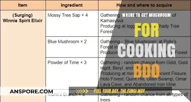 Best Spots to Gather Cooking Mushrooms in BDO: A Guide