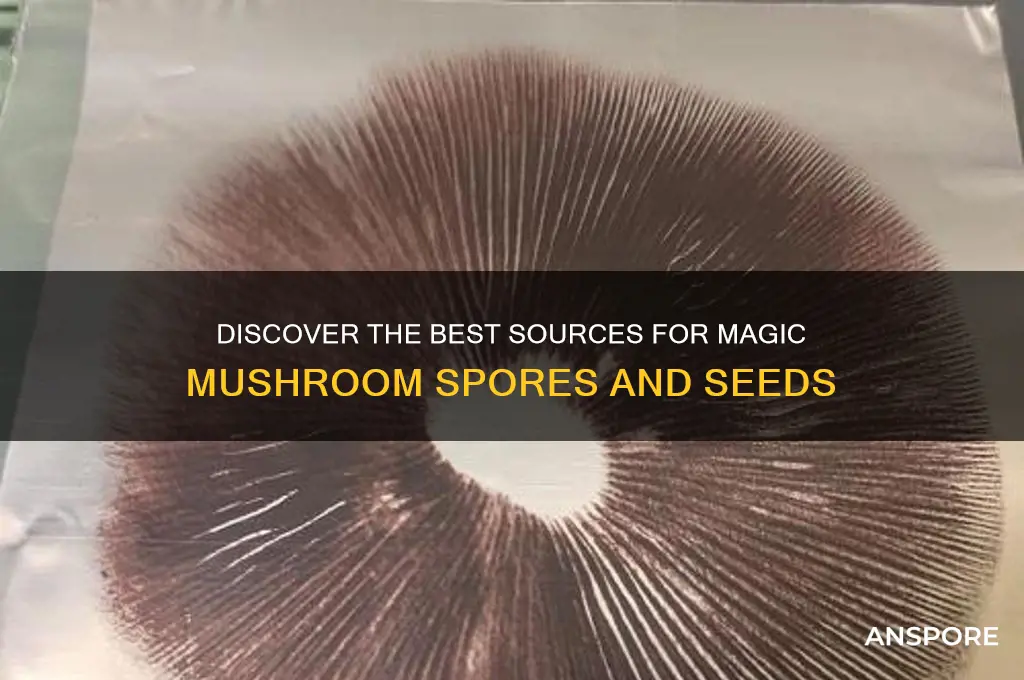 where to get seeds to grow majic mushrooms
