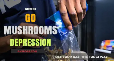 Mushrooms for Depression: Nature's Antidepressants