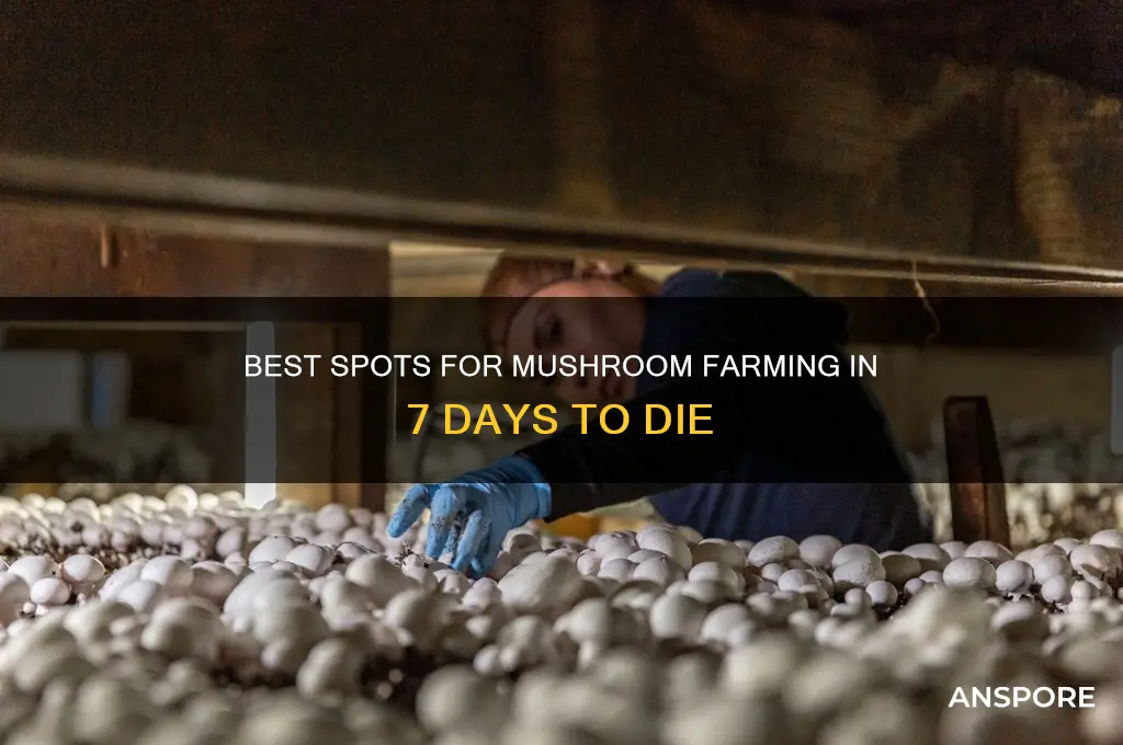 where to grow mushrooms 7 days to die