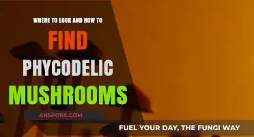 Exploring Nature's Secrets: Locating Psychedelic Mushrooms Safely and Responsibly
