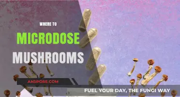 Microdosing Mushrooms: Where to Take Your Trip