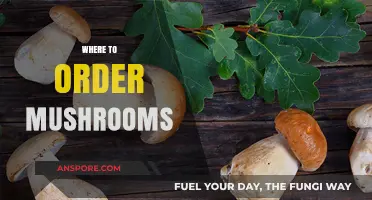 Mushroom Ordering: Best Places to Buy