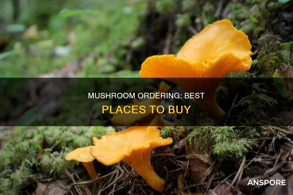 where to order mushrooms