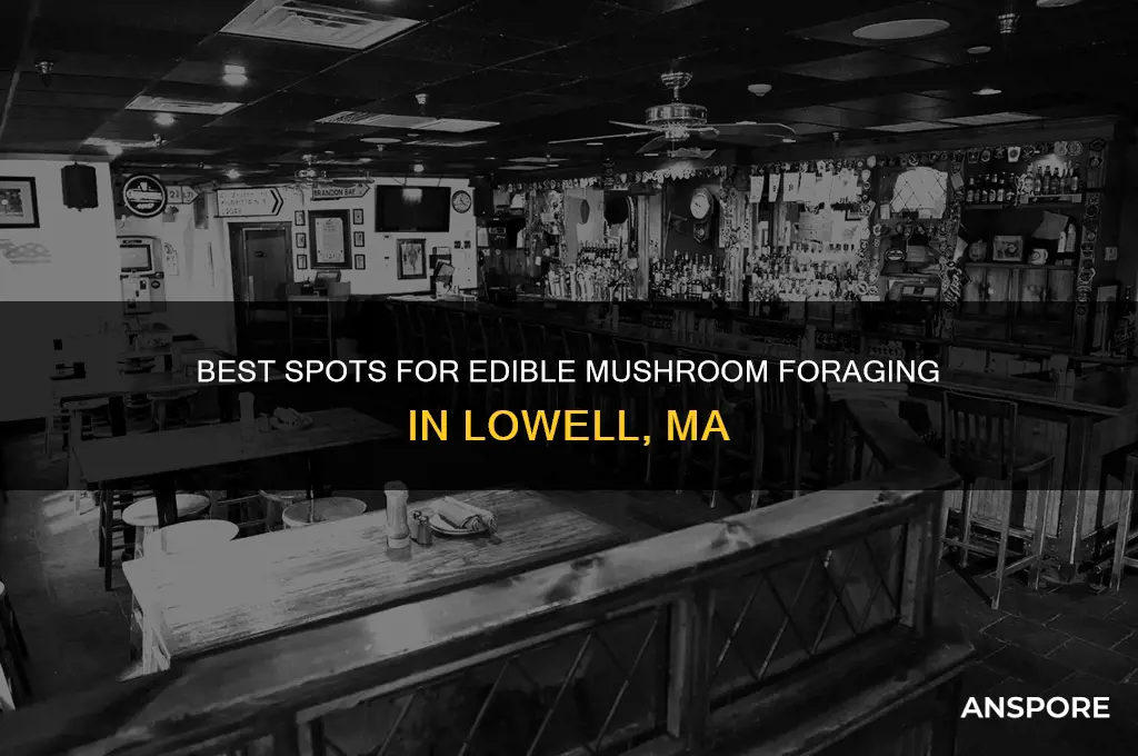 where to pick edible mushrooms lowell ma