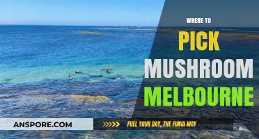 Mushroom Picking Spots in Melbourne