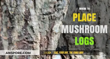 The Best Places to Put Mushroom Logs