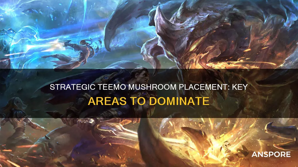where to place teemo mushrooms