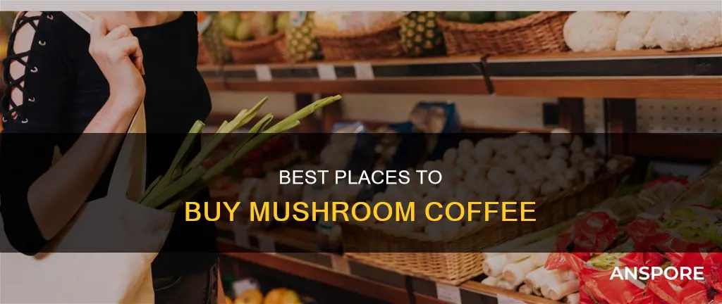 where to purchase mushroom coffee