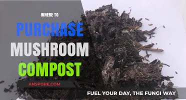 Mushroom Compost: Where to Buy and Why