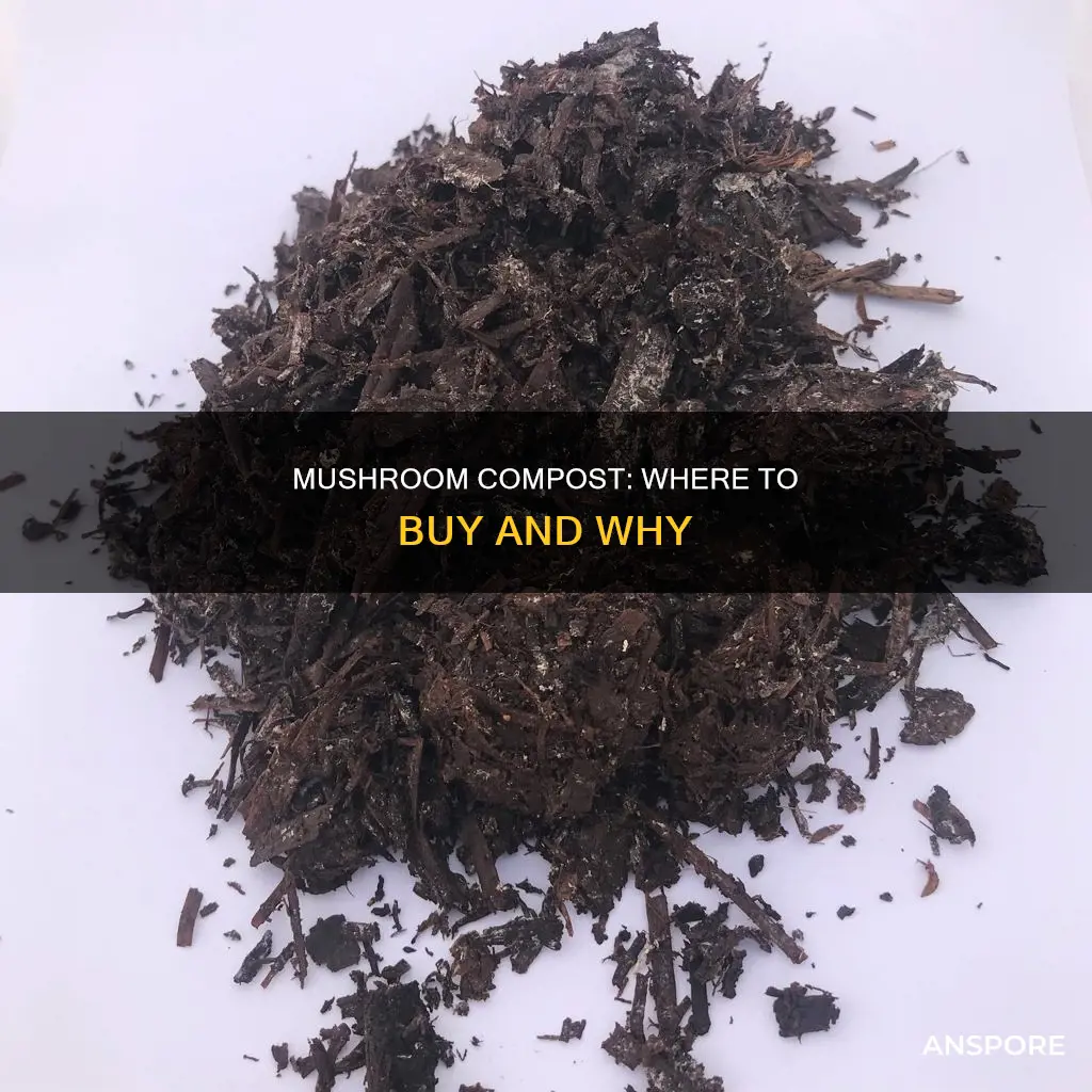 where to purchase mushroom compost