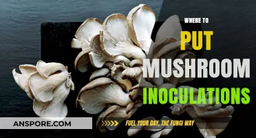 The Best Places to Put Mushroom Inoculations