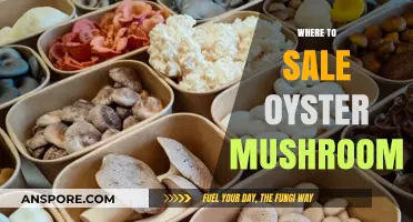 Best Places to Sell Oyster Mushrooms